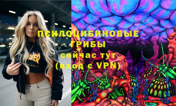 кокаин перу Дмитриев