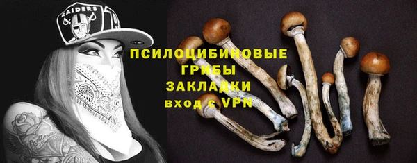 кокаин перу Дмитриев