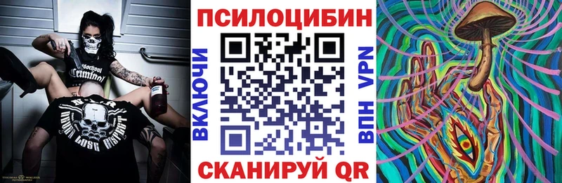блэк спрут как зайти  Нижнекамск  Псилоцибиновые грибы ЛСД 